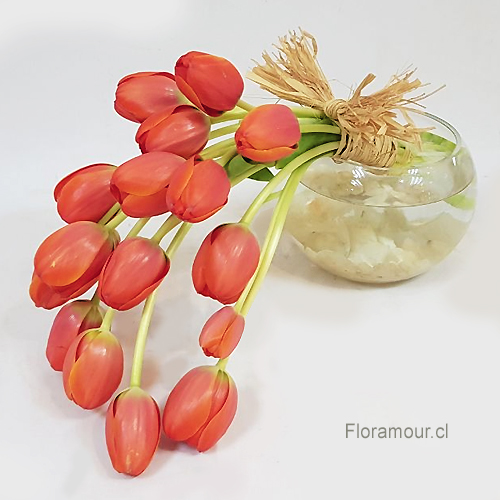 Color puede variar según disponibilidad en la importación. El servicio de entrega a domicilio de este arreglo de tulipanes solo está disponible para Santiago de Chile